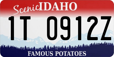 ID license plate 1T0912Z