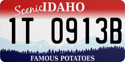 ID license plate 1T0913B