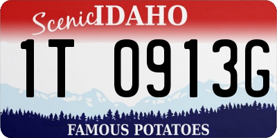 ID license plate 1T0913G