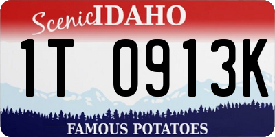 ID license plate 1T0913K