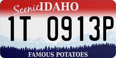 ID license plate 1T0913P