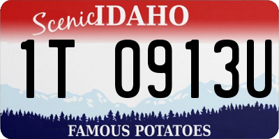 ID license plate 1T0913U