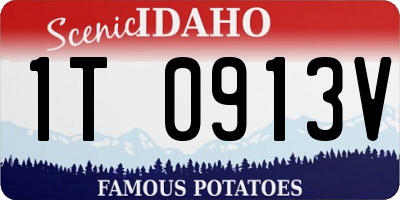 ID license plate 1T0913V