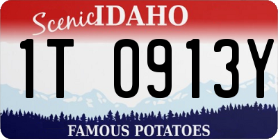ID license plate 1T0913Y