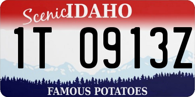 ID license plate 1T0913Z
