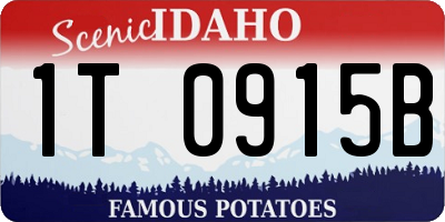 ID license plate 1T0915B