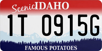 ID license plate 1T0915G