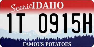 ID license plate 1T0915H