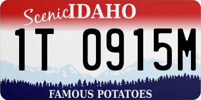 ID license plate 1T0915M