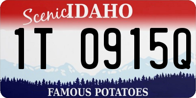 ID license plate 1T0915Q