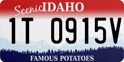 ID license plate 1T0915V