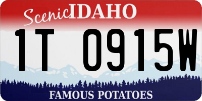 ID license plate 1T0915W