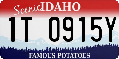 ID license plate 1T0915Y
