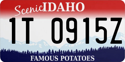 ID license plate 1T0915Z