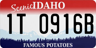 ID license plate 1T0916B