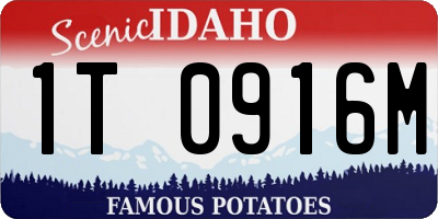 ID license plate 1T0916M