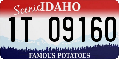 ID license plate 1T0916O