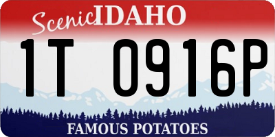 ID license plate 1T0916P