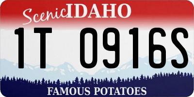 ID license plate 1T0916S