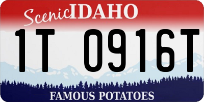 ID license plate 1T0916T