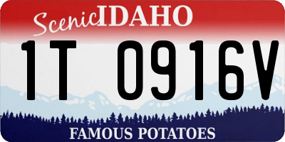 ID license plate 1T0916V