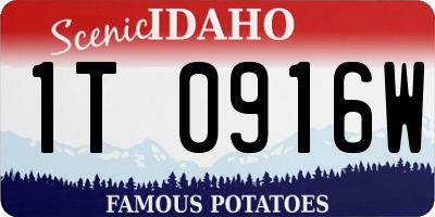 ID license plate 1T0916W