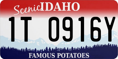 ID license plate 1T0916Y