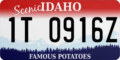 ID license plate 1T0916Z