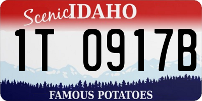 ID license plate 1T0917B