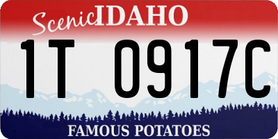 ID license plate 1T0917C