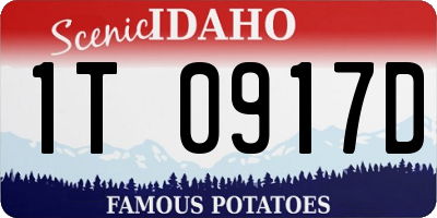ID license plate 1T0917D