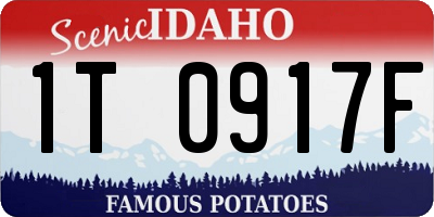 ID license plate 1T0917F