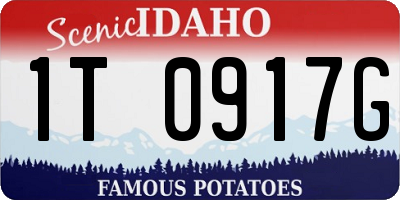 ID license plate 1T0917G