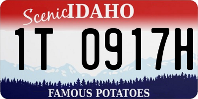 ID license plate 1T0917H