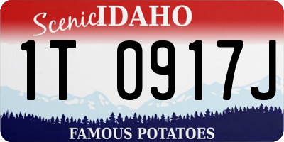ID license plate 1T0917J