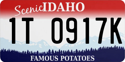 ID license plate 1T0917K