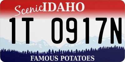 ID license plate 1T0917N