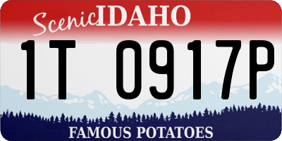 ID license plate 1T0917P