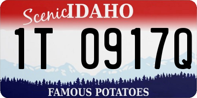 ID license plate 1T0917Q