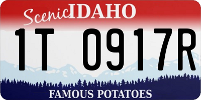 ID license plate 1T0917R