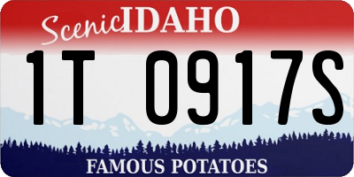 ID license plate 1T0917S