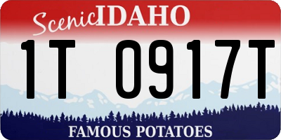 ID license plate 1T0917T