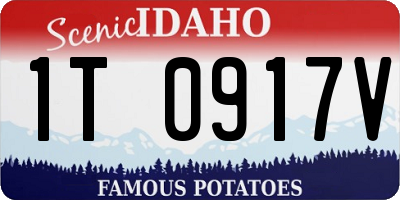 ID license plate 1T0917V