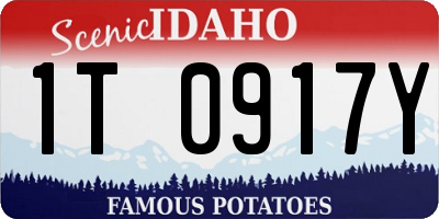 ID license plate 1T0917Y