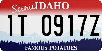 ID license plate 1T0917Z