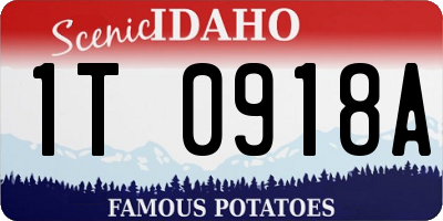 ID license plate 1T0918A