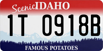 ID license plate 1T0918B