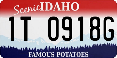 ID license plate 1T0918G