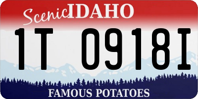 ID license plate 1T0918I