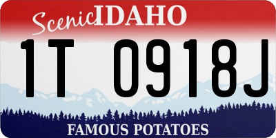 ID license plate 1T0918J